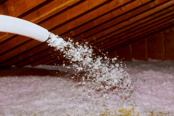 Trusted Fort Polk North, LA Insulation Contractor Experts