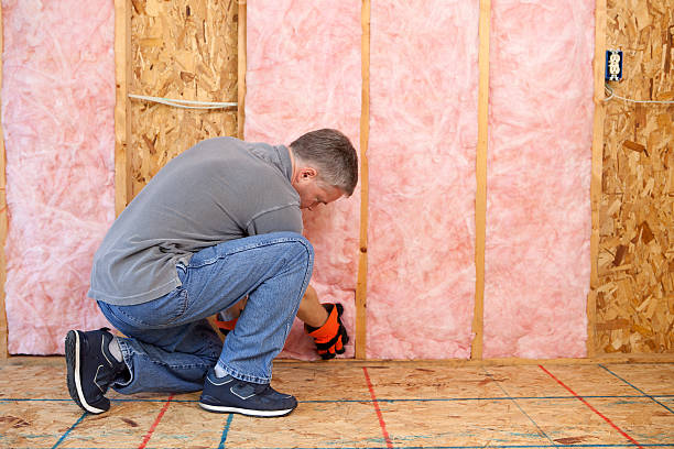 Insulation Contractors for Homes in Fort Polk North, LA